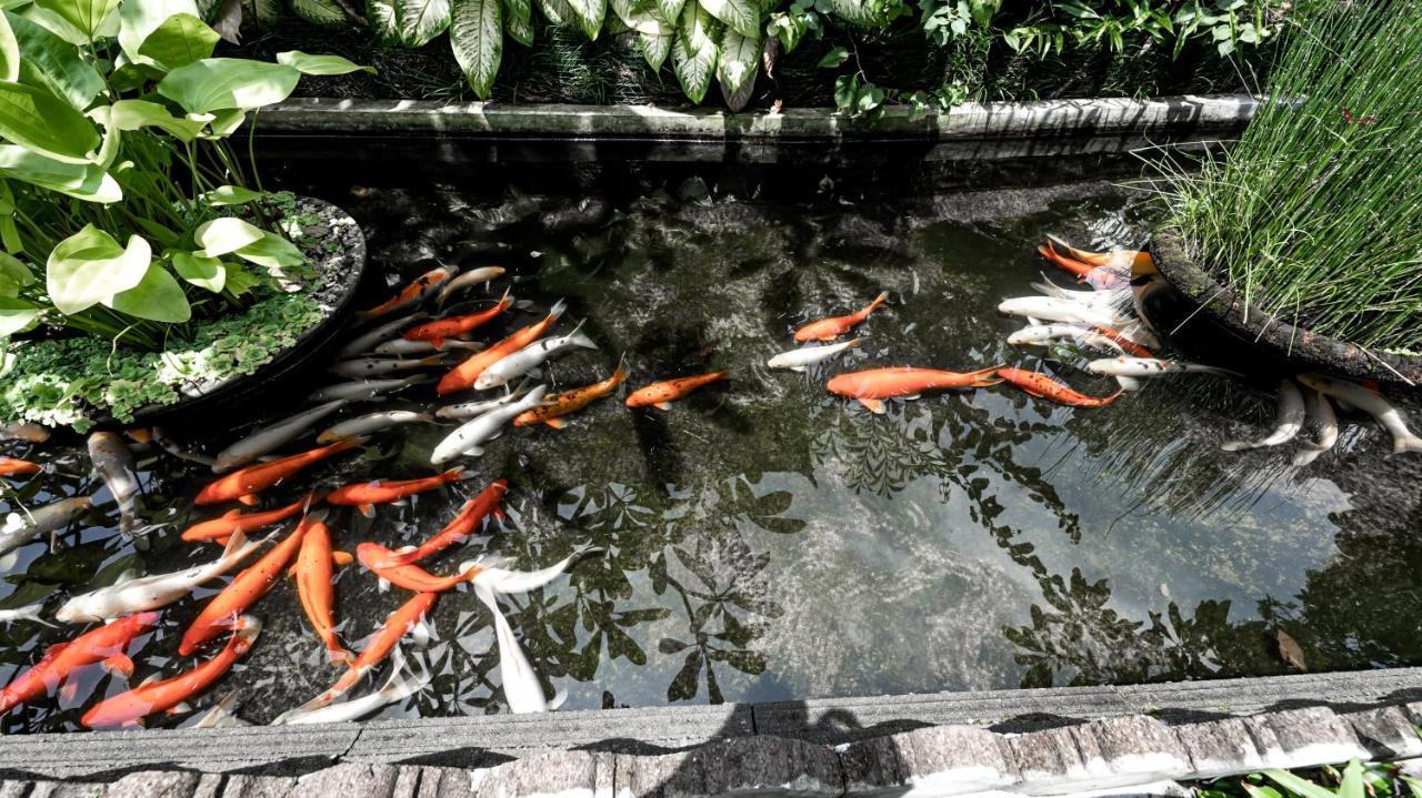 Gunung Merta Bungalows Ubud Eksteriør bilde